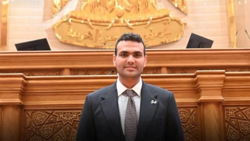 النائب حسين هريدي